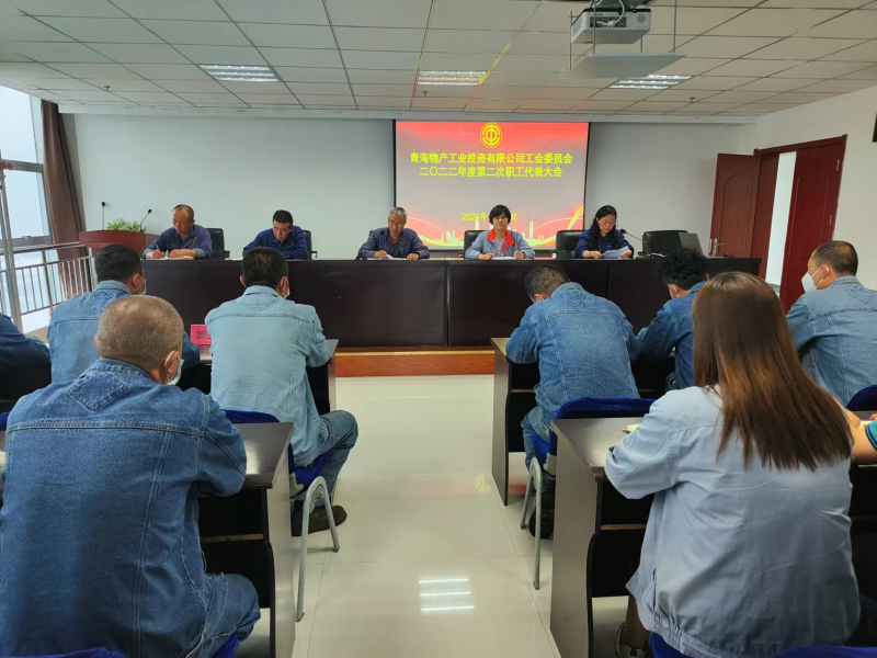 搭好連心橋 落實暖心事&mdash;&mdash;物產工投公司工會召開2022年度第二次職工代表大會