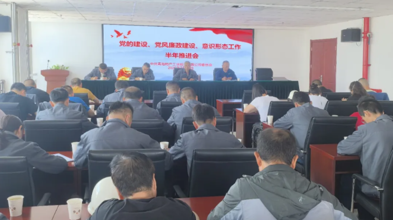 工投公司黨委召開黨的建設、黨風廉政建設、意識形態工作半年推進會